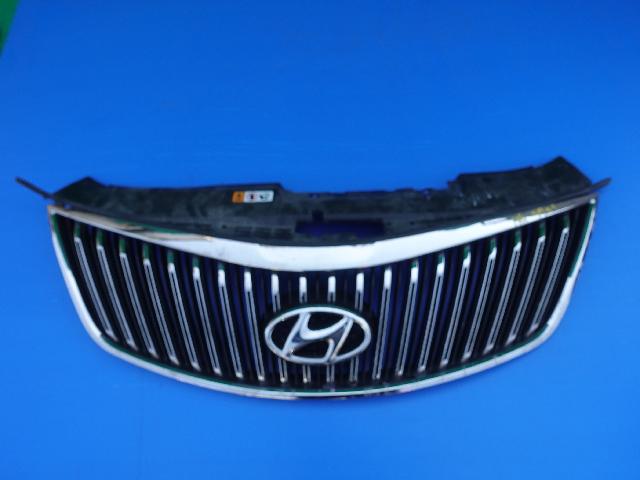 Radiator Grille  Hyundai Grandeur HG
