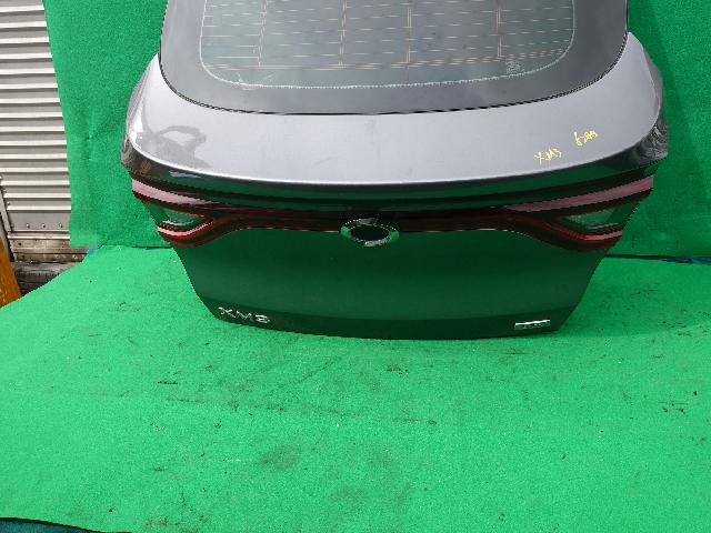 Back Door (lid)  Renault Samsung XM3
