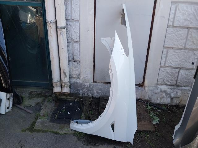 Front Fender (left)  Tesla(Tesla) Long Range