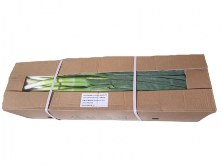 깐대파(상품 KG) - 2,700원 - 식봄