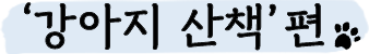 강아지 산책 편