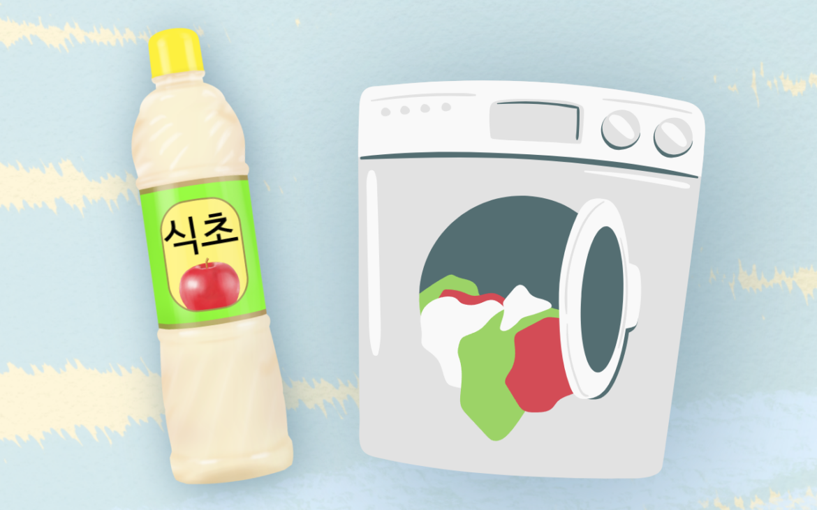 세탁기 빨래 할 때 식초 사용하는 방법