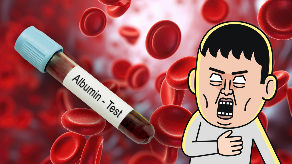알부민 수치 높음 낮음, 그 의미는