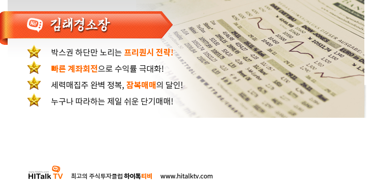 하이톡티비 전문가 프로필 hitalktv.co.kr