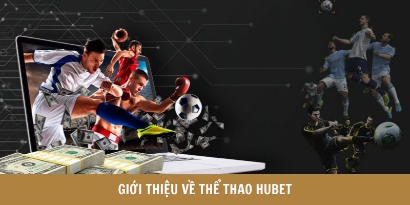 Cá cược thể thao tại Hubet