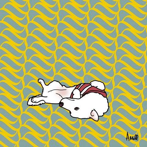 지루한 시체놀이 백구