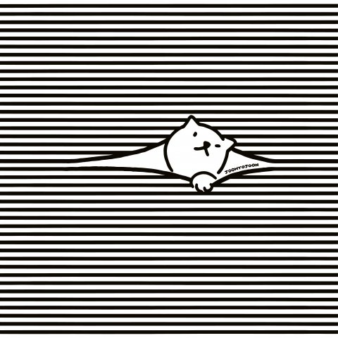 Stripe cat