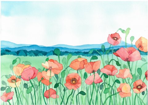 Poppy