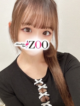ADVENTURE SPA ZOO