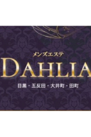 ダリア????????????