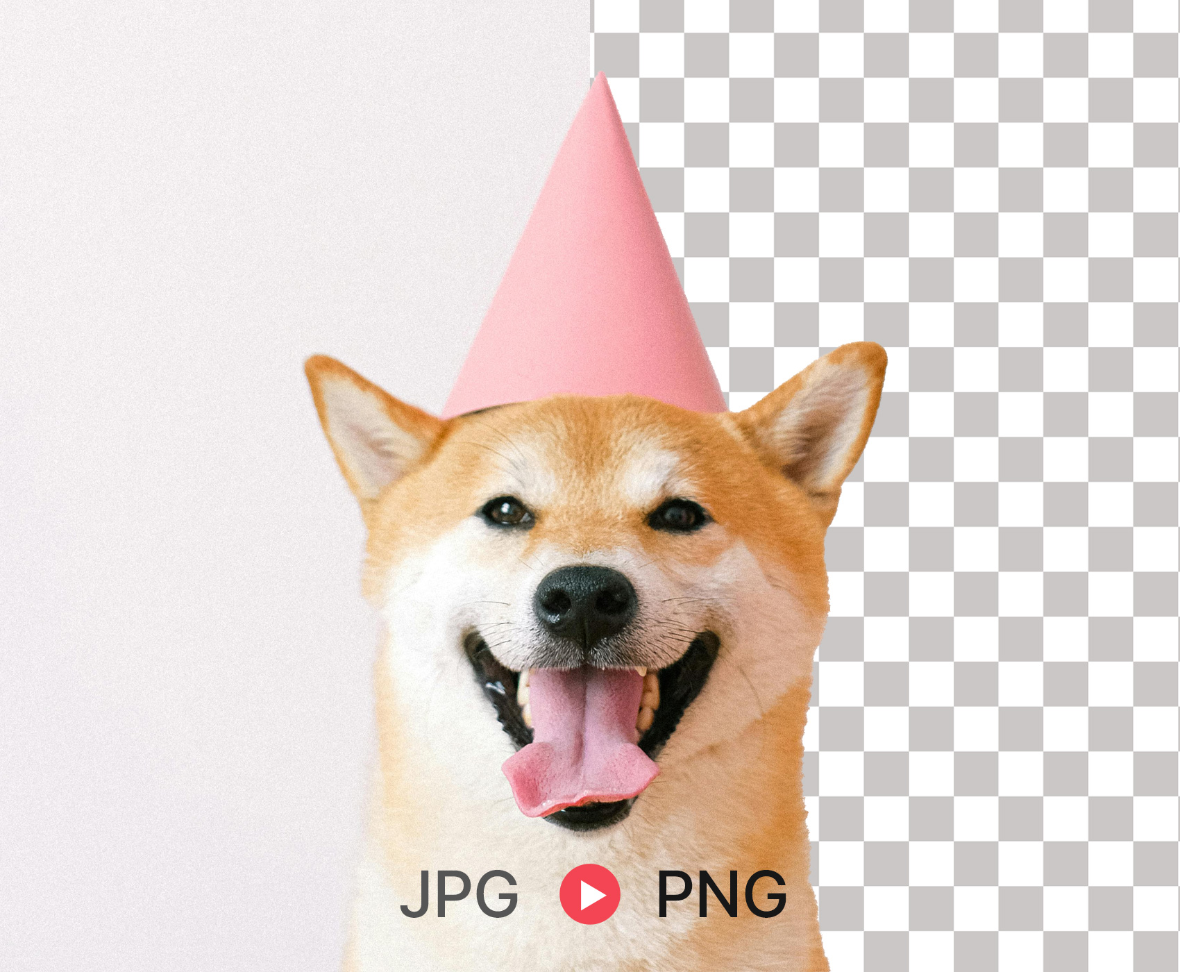 ̹  