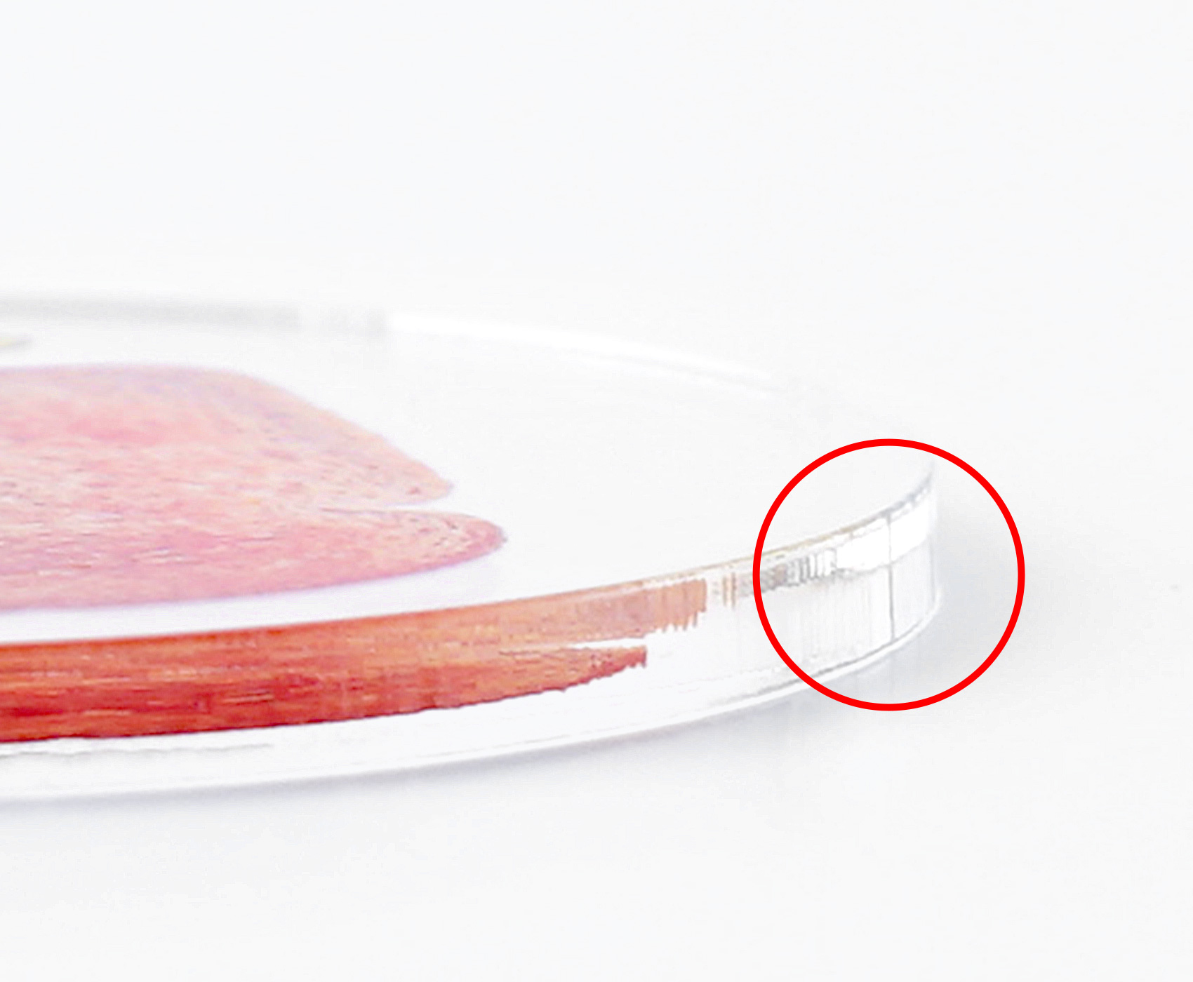 Ŀ�� ����