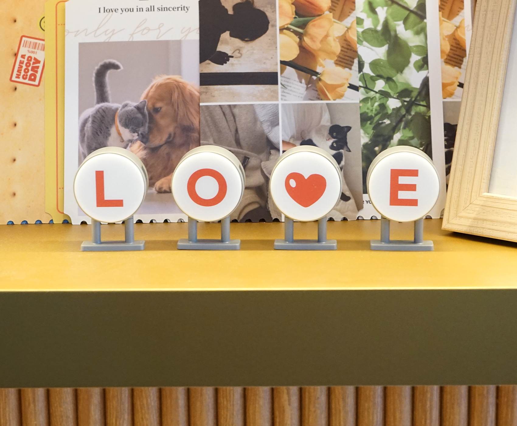 ������ ���� ����