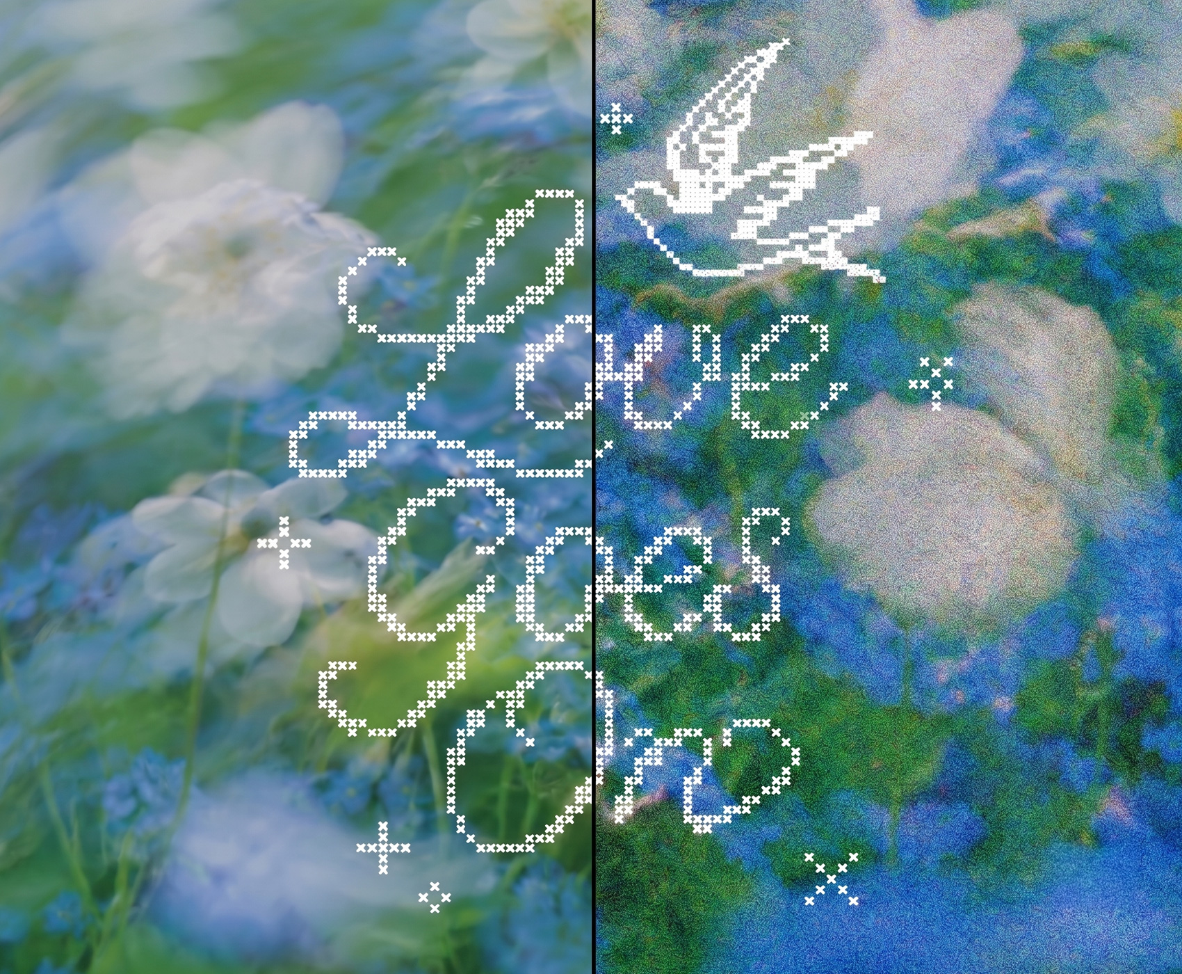 ���ǻ���2
