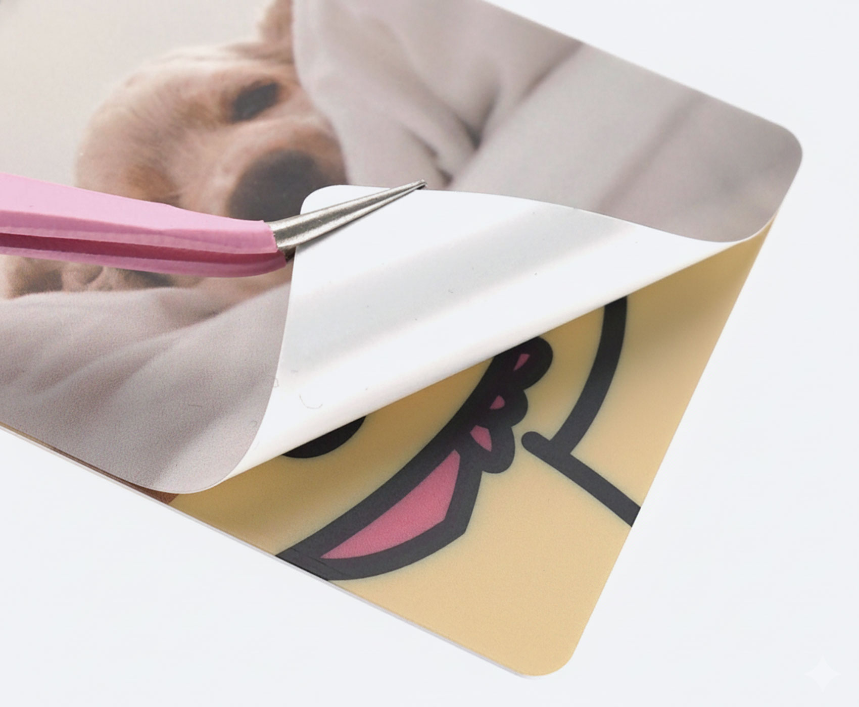 ������ ��������