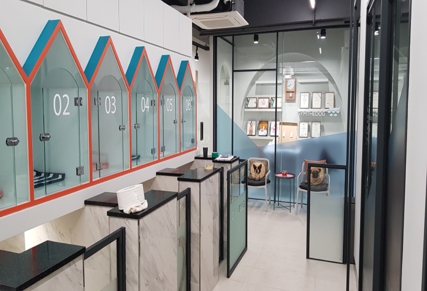 서울 강남구 반려견 수중 재활센터