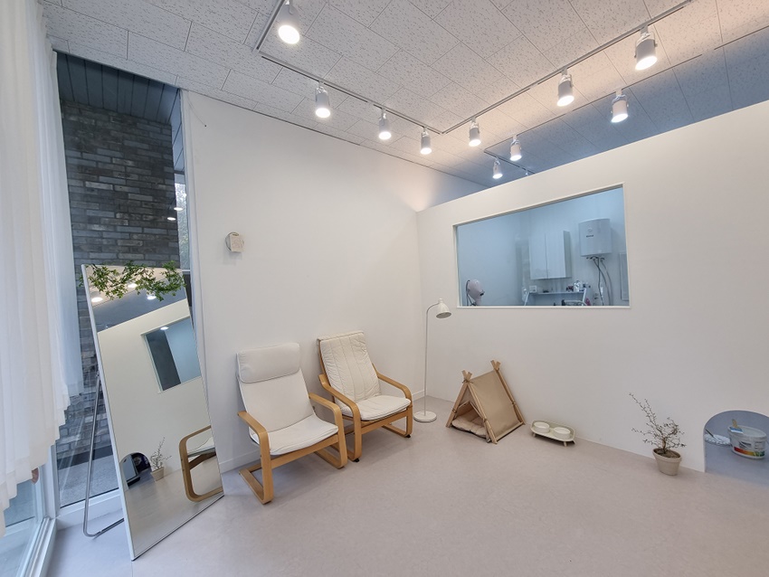 블레스디자인