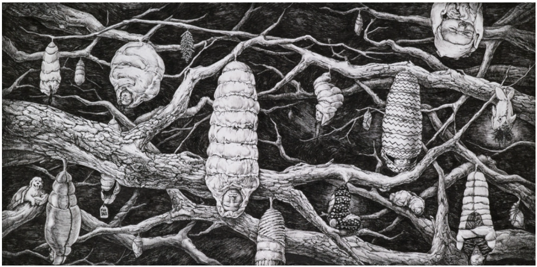 (미국) SVA ($23,500 매년), OTIS ($18,000 매년) S H NOH_BFA_Illustration 편입