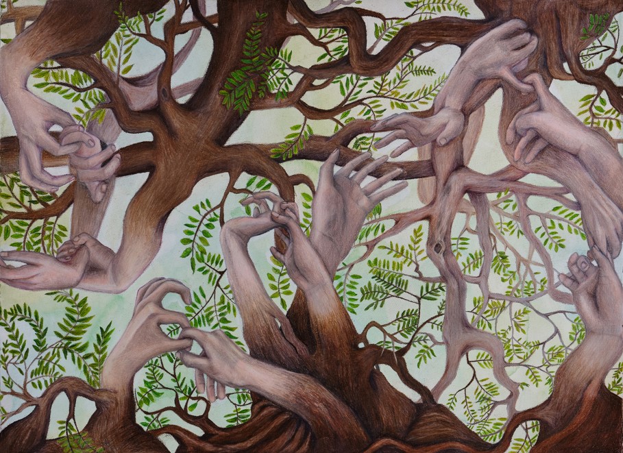 (캐나다) OCAD, Emily carr, Seneca 합격 C E LIM_ 신입학 Graphic Design