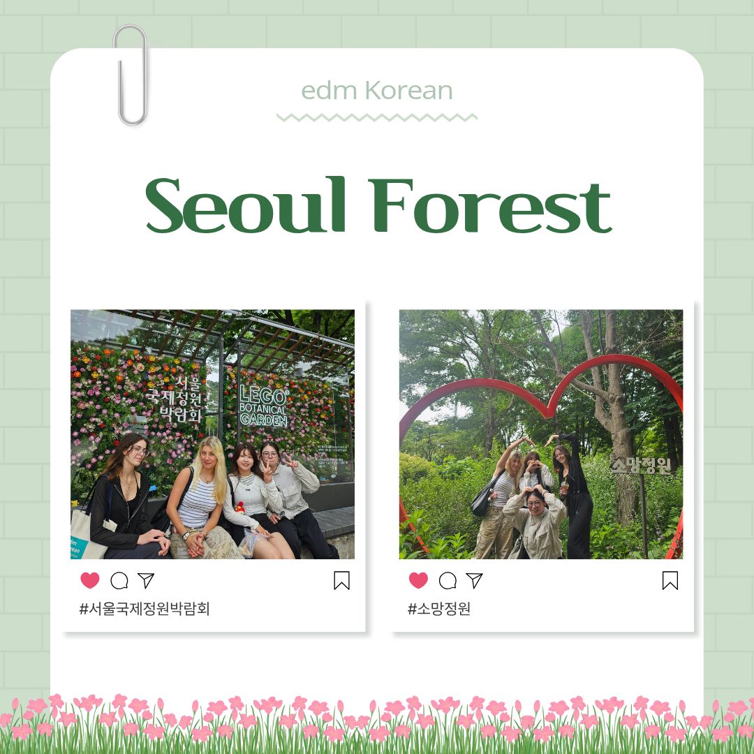 edmKorean Activities [서울숲 산책 Seoul Forest Walk]