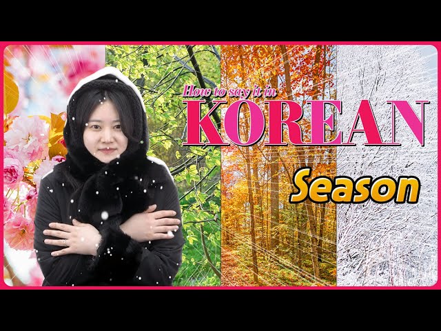 [Season] 한국어로 어떻게 말하지? 💑 How to say it in Korean?