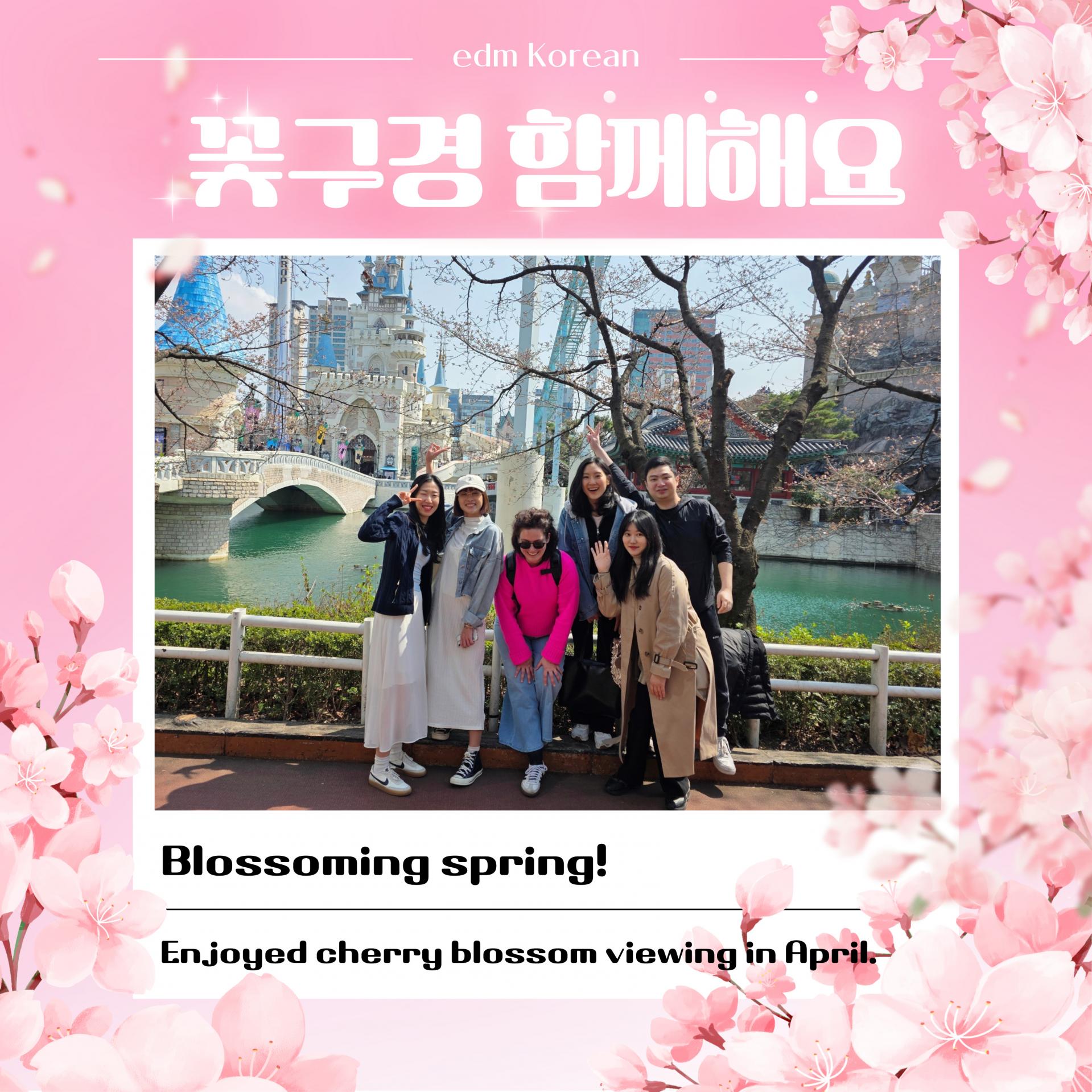 edmKorean Activities [벚꽃 나들이 cherry blossom outing]