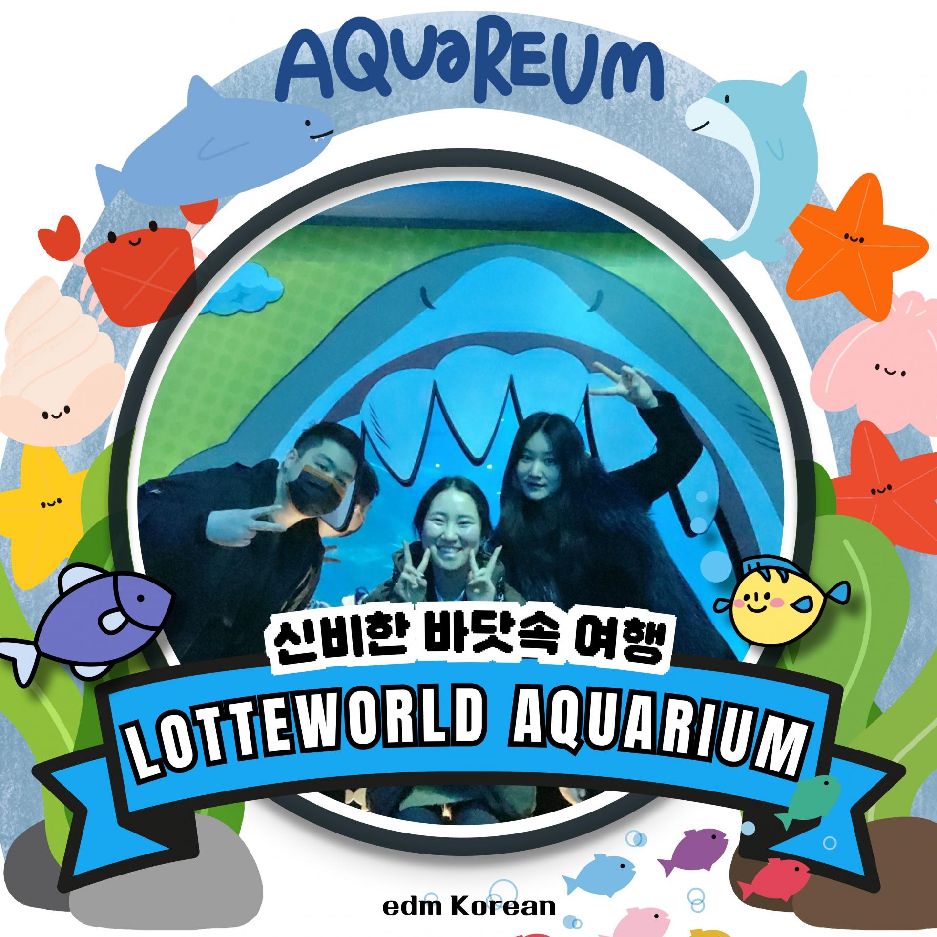 edmKorean Activities [롯데월드 아쿠아리움 Lotte World Aquarium]