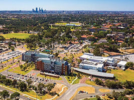 세계 230위, 세계약대 201-250위