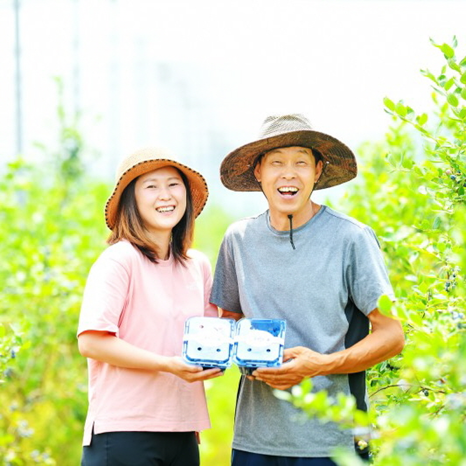 그녀의블루베리