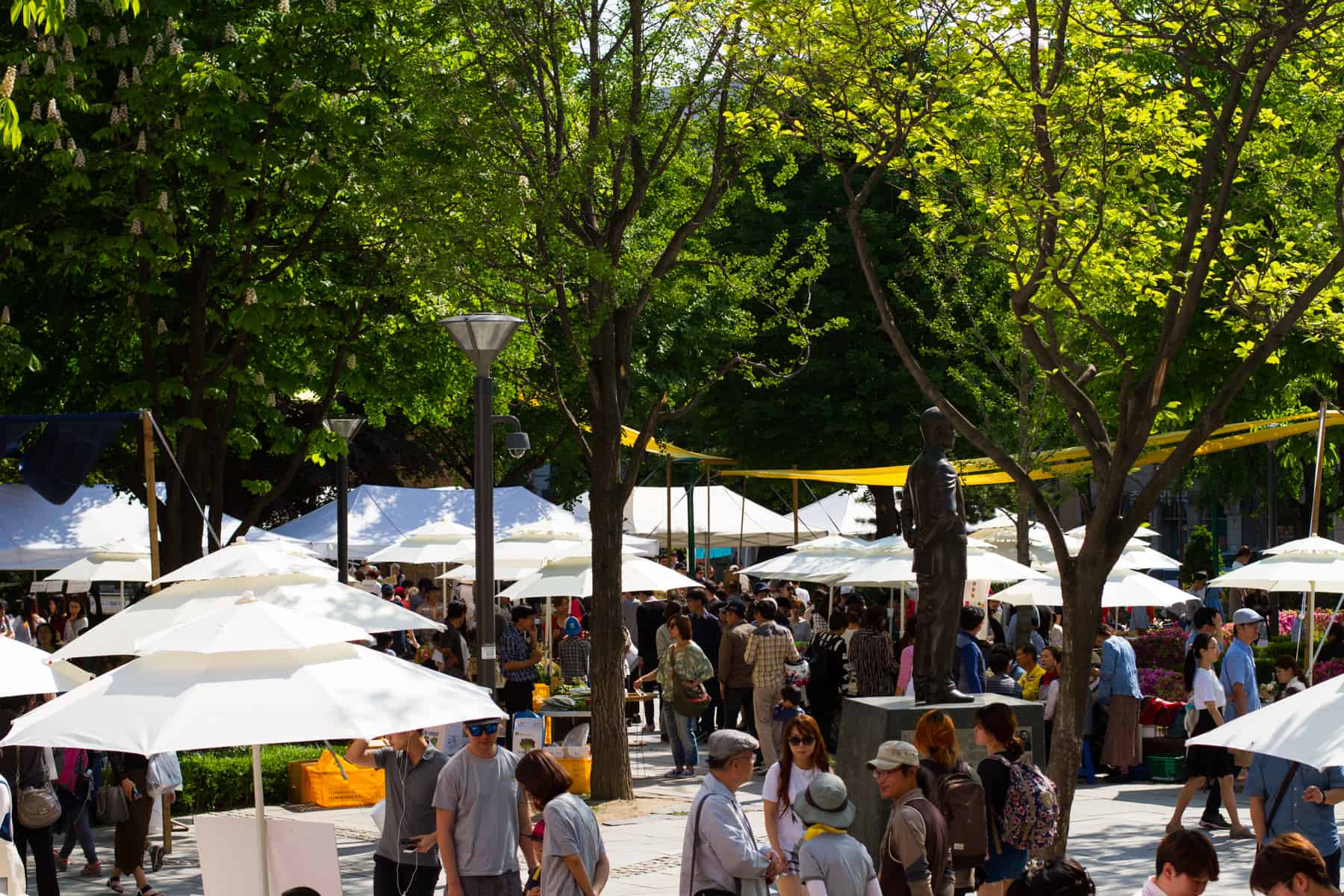 marchemay2015h_web-110