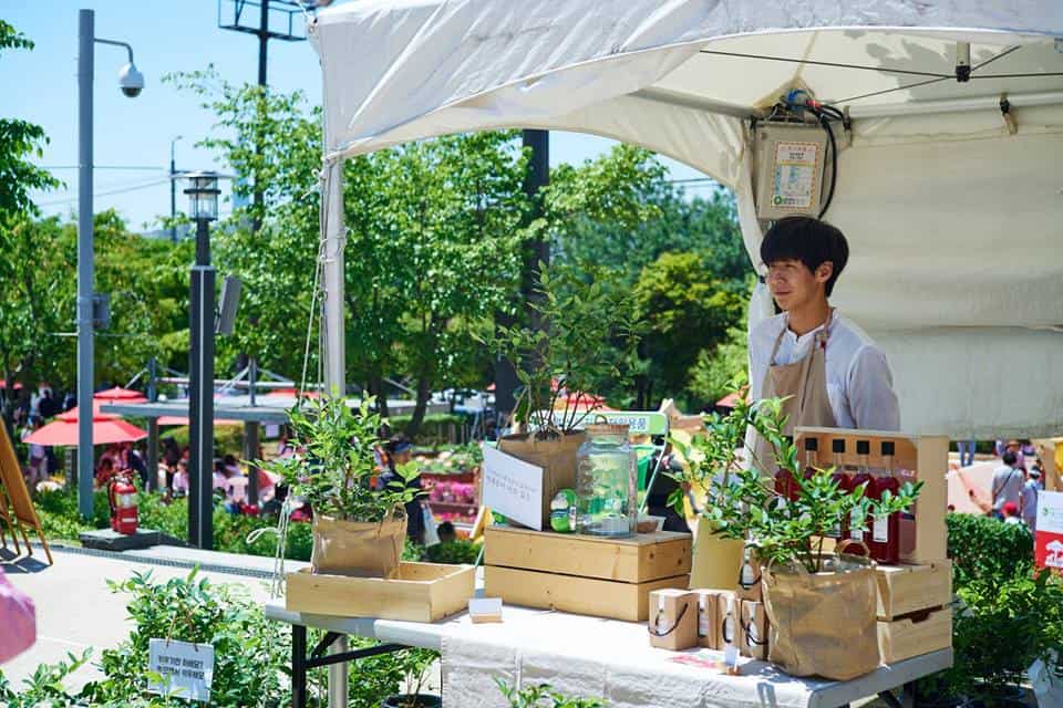 34341835_1716701741742413_8382304697406455808_n