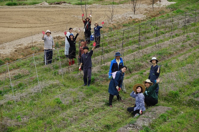 %e1%84%8e%e1%85%a2%e1%86%a84-3