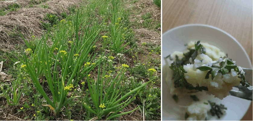 %e1%84%8e%e1%85%a2%e1%86%a84-6