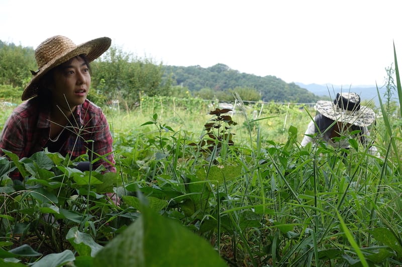 %e1%84%8e%e1%85%a2%e1%86%a84-7