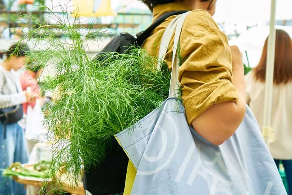 59285767_2193902287355687_5616380552312520704_n