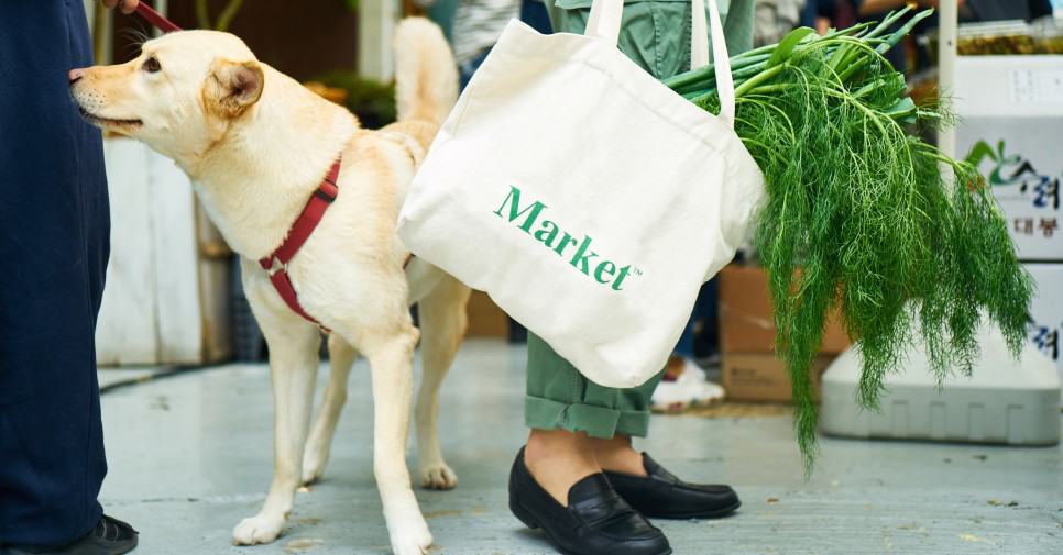 %e1%84%92%e1%85%a1%e1%86%b8%e1%84%8c%e1%85%a5%e1%86%bc