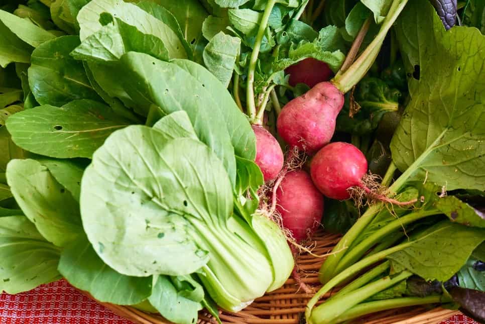 %e1%84%92%e1%85%a1%e1%86%b8%e1%84%8c%e1%85%a5%e1%86%bc