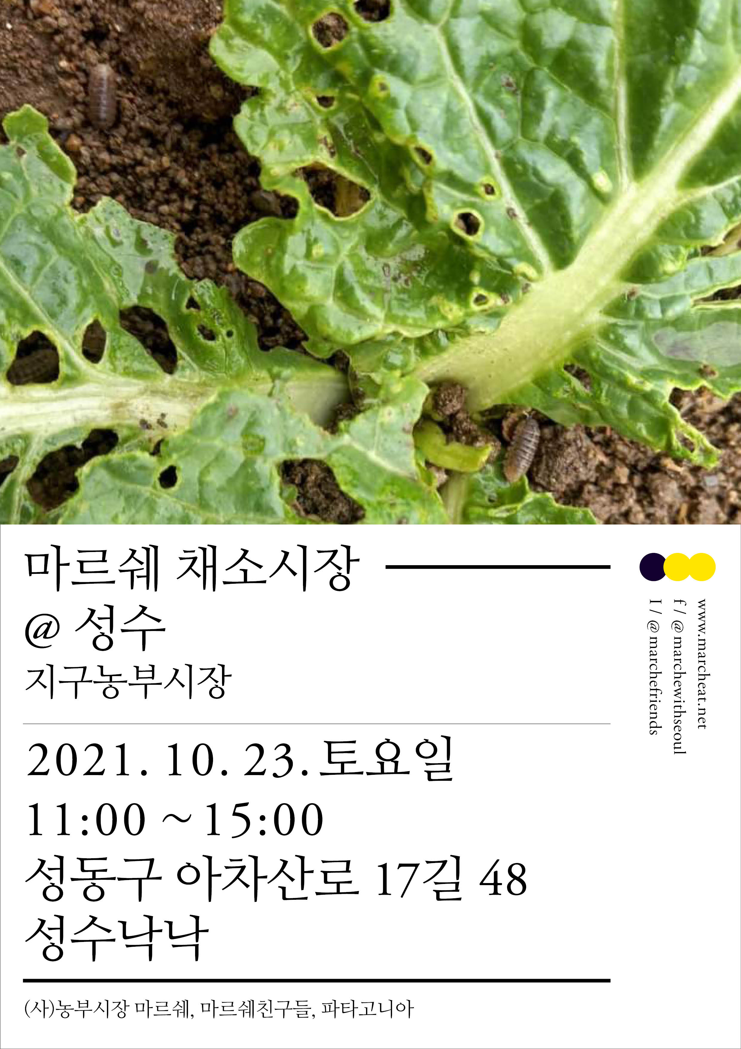 211023_%E1%84%8E%E1%85%A2%E1%84%89%E1%85%A9%E1%84%89%E1%85%B5%E1%84%8C%E1%85%A1%E1%86%BC_%E1%84%89%E1%85%A5%E1%86%BC%E1%84%89%E1%85%AE.jpg