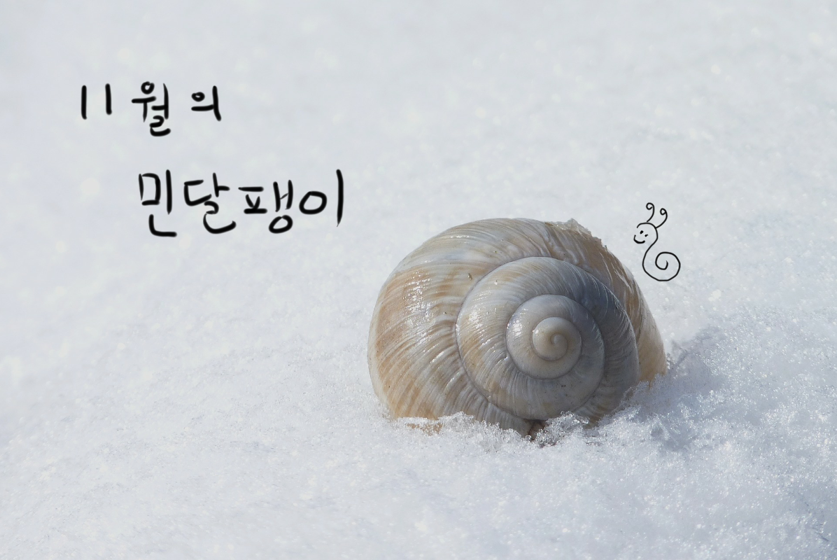 354_1575611448.png