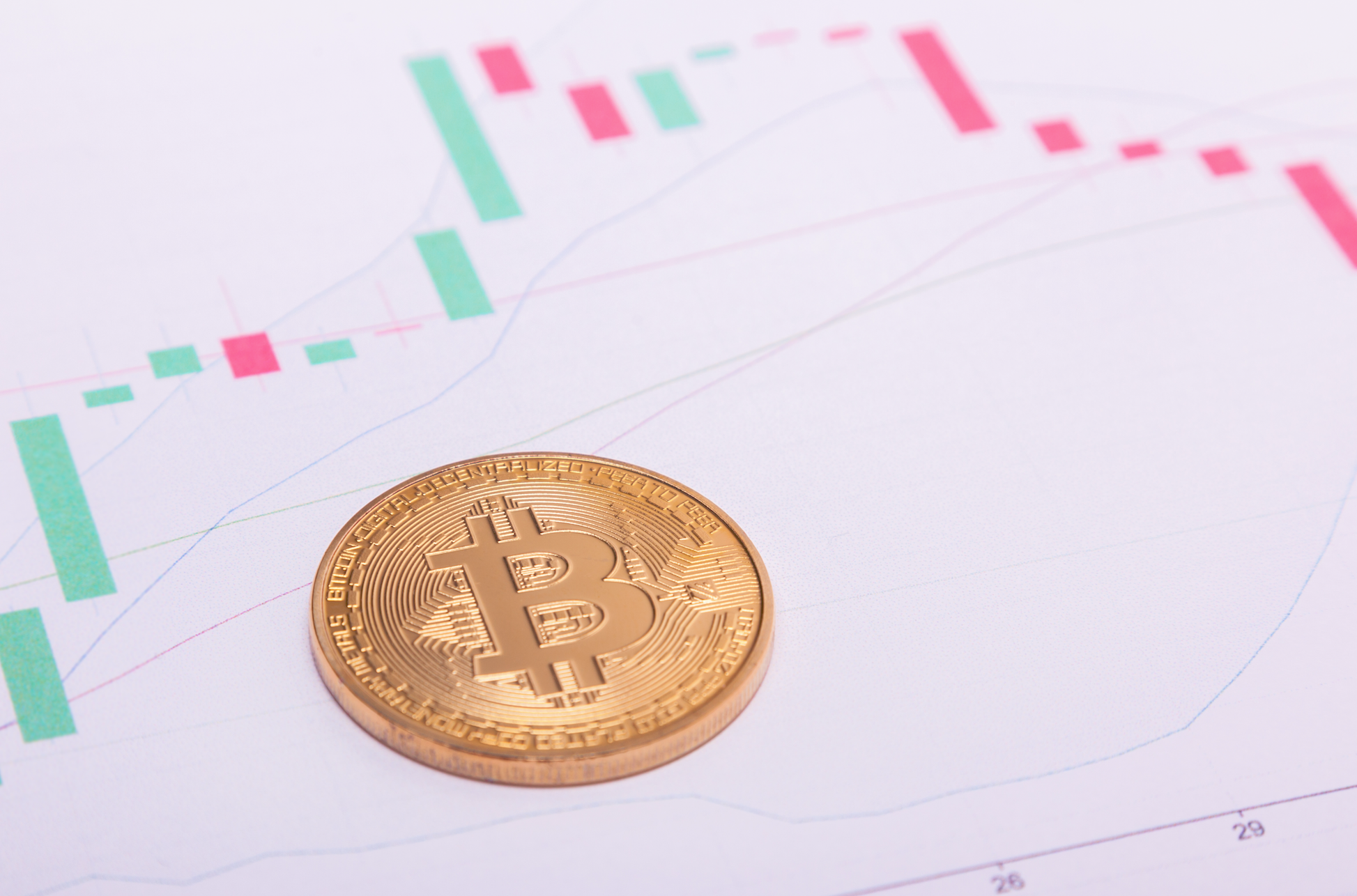 21.10.13] 삼계탕 가격이 비쌌던 이유 : 지난 머니레터