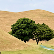 경주