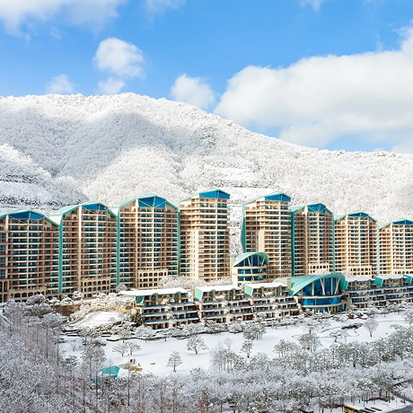 소노펠리체 비발디파크