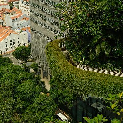 파크로열컬렉션피커링,싱가포르호텔,싱가포르숙소