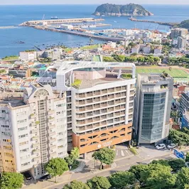 ȣ�ں긴��������