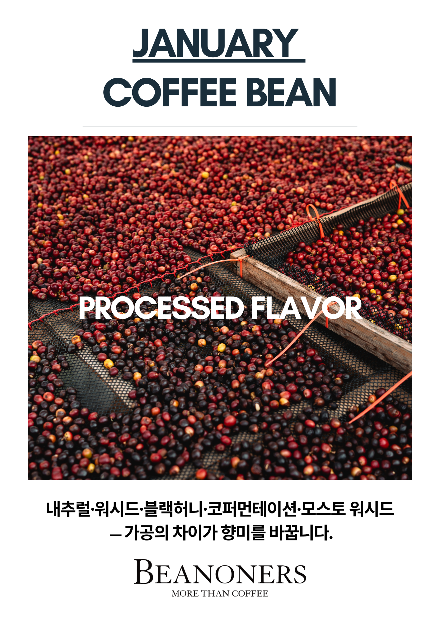 업체 소식 배경 이미지