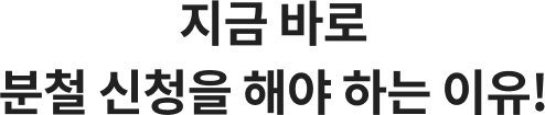 지금 바로 분철 신청을 해야 하는 이유!