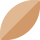 씨앗