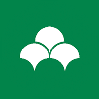 덱신 서비시스 그룹