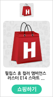 필립스 휴 컬러 앰비언스 러스터 스마트 소형 전구