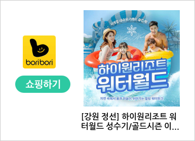 [강원 정선] 하이원리조트 워터월드 성수기/골드시즌 이용권 (07/11~08/31)